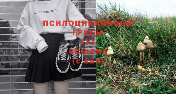ешки Алзамай