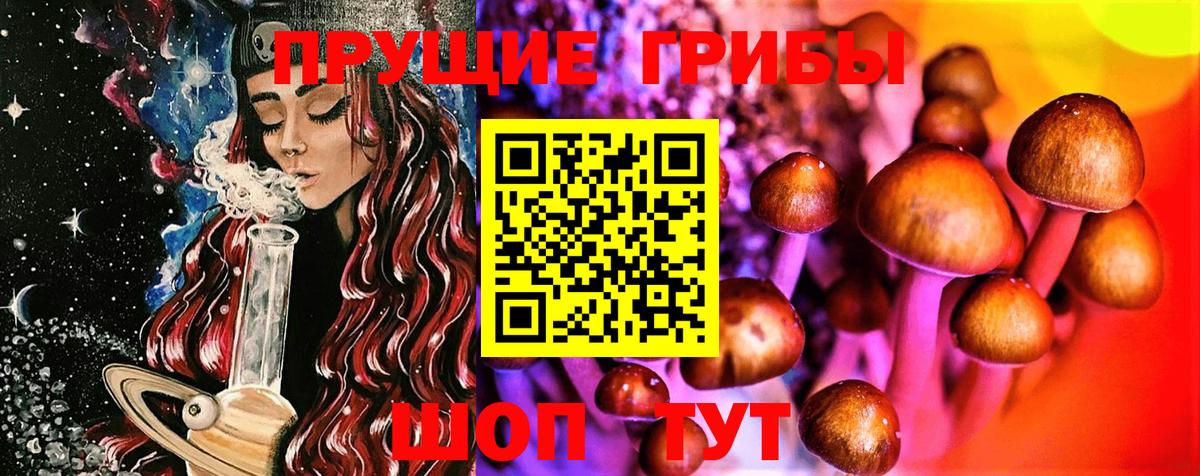 Псилоцибиновые грибы GOLDEN TEACHER  Галлюциногенные грибы мицелий  Вход с VPN  Выкса 